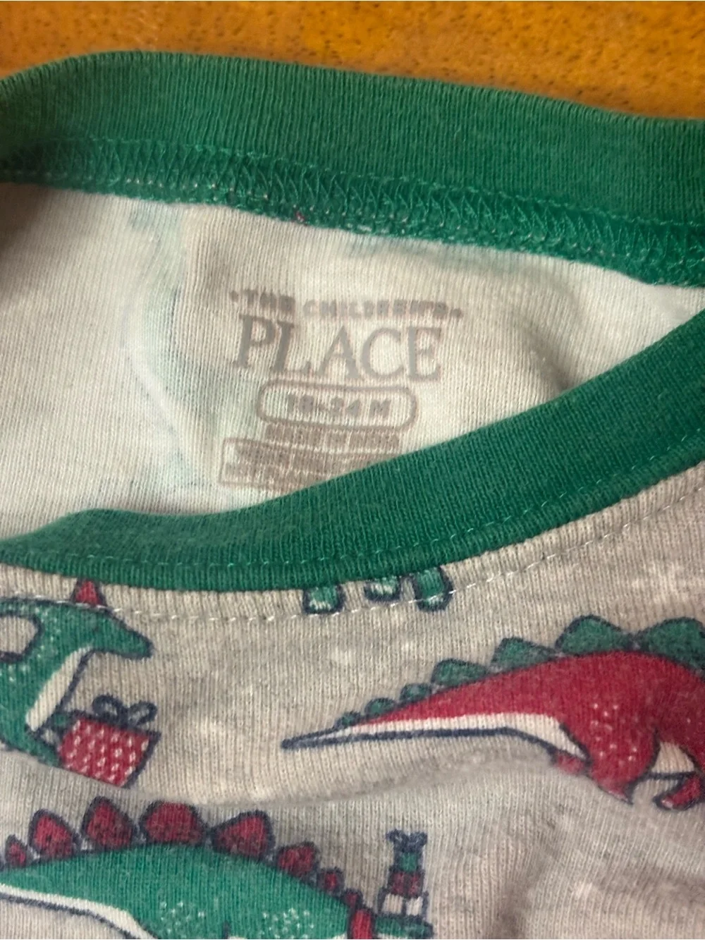 The Children's Place Grey Pajama Set with Green & Red Dinosaur Print